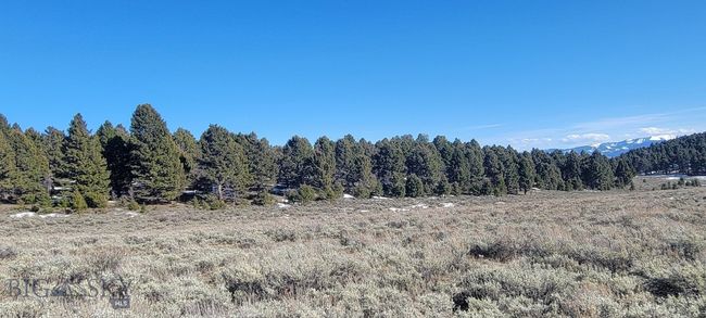 3 Bivens Creek Ridge Road, Home with 0 bedrooms, 0 bathrooms and null parking in Sheridan MT | Image 23