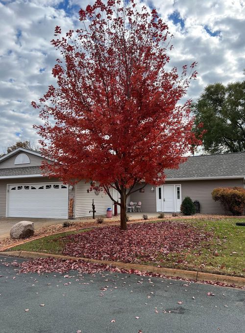 637 Norwood Ln, Big Lake, MN, 55309-2105 | Card Image