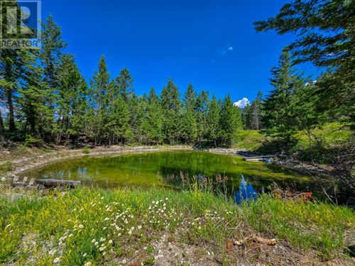 Lot 1 Kootenay #3 Road, Fairmont Hot Springs, BC, V0B1L0 | Card Image