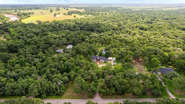 Wide-angle view of open yard showcasing the property’s generous flat terrain and park-like setting. | Image 39