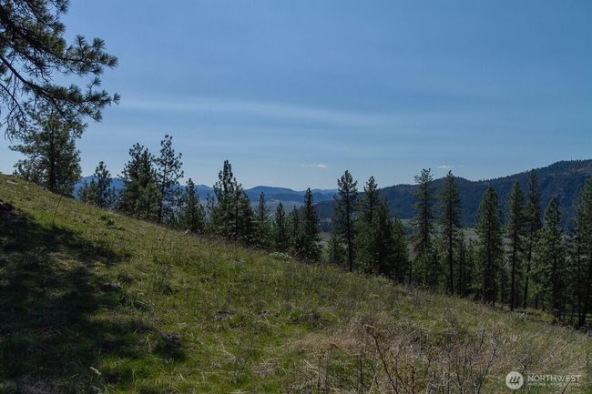 1622 Palmer Loop, Home with 0 bedrooms, 0 bathrooms and null parking in Chewelah WA | Image 10