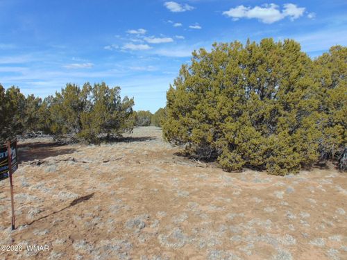 49 County Road, Vernon, AZ, 85940 | Card Image