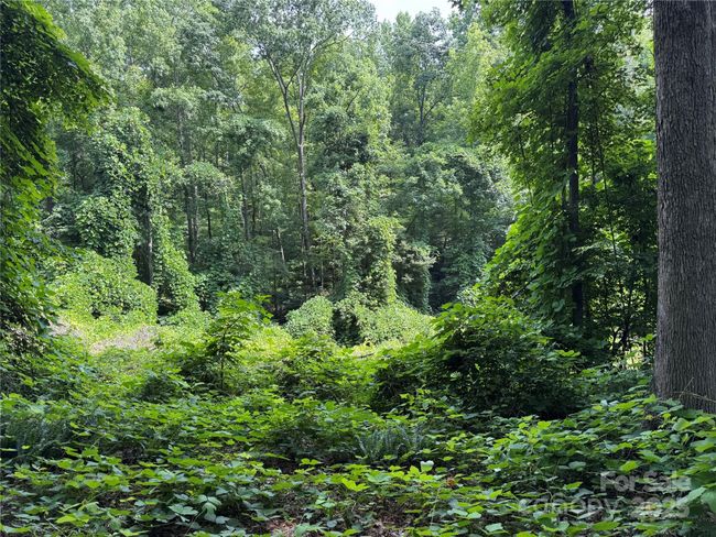 0000 Ranger Rd, Home with 0 bedrooms, 0 bathrooms and null parking in Clover SC | Image 8