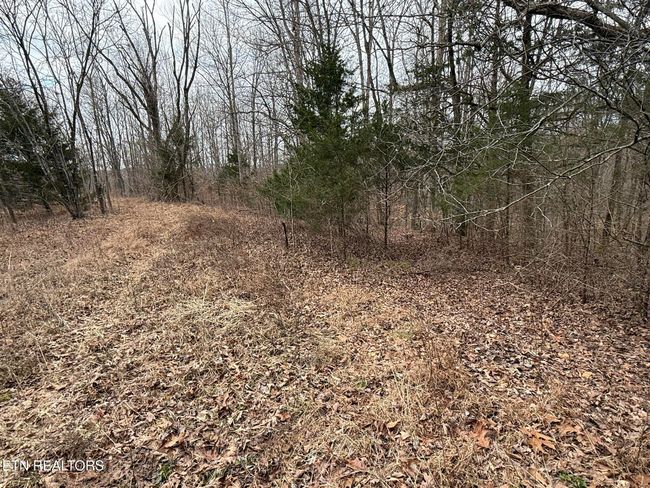 649 Garrett Town Ln, Home with 0 bedrooms, 0 bathrooms and null parking in Monroe TN | Image 13