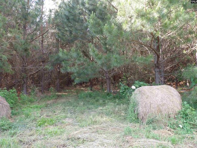 0 Mccormick Hwy, Home with 0 bedrooms, 0 bathrooms and null parking in Saluda SC | Image 12