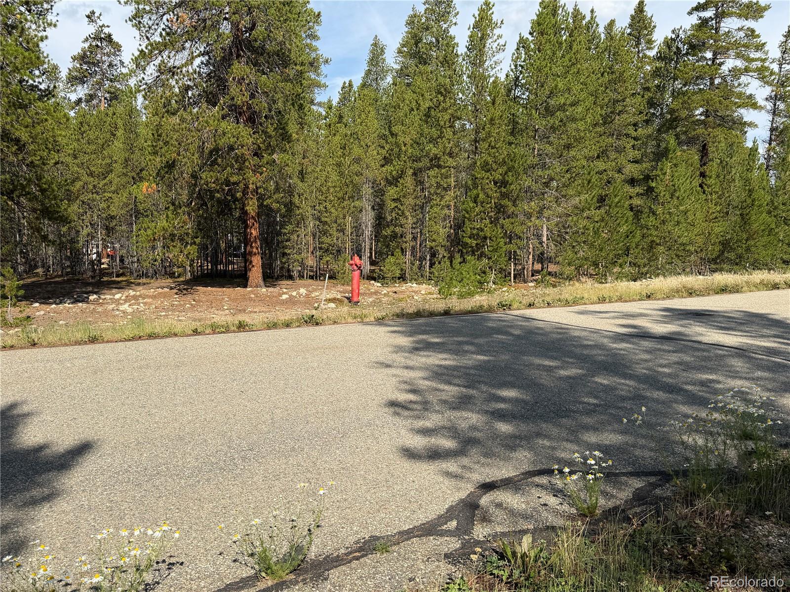 Land in Leadville 5