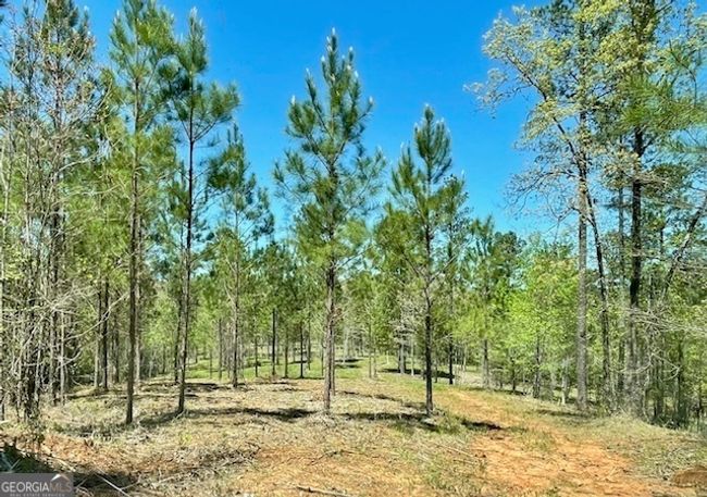 1276 Hornets Bridge Rd, Home with 0 bedrooms, 0 bathrooms and null parking in Elberton GA | Image 10