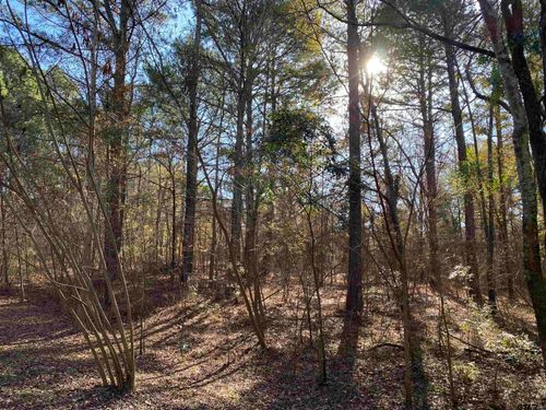 Lot 11 Carene, Frankston, TX, 75763 | Card Image