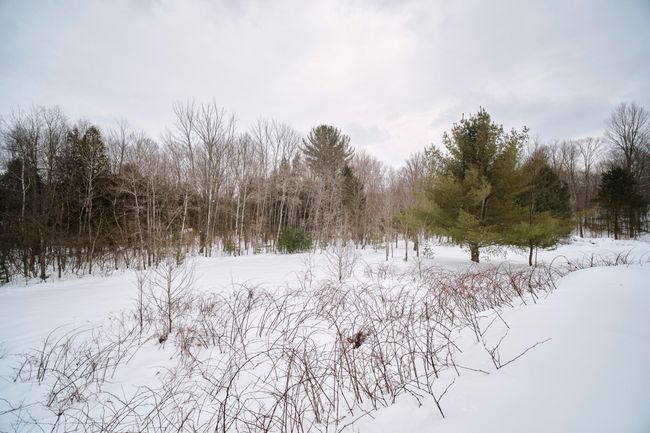 Property views | Image 46