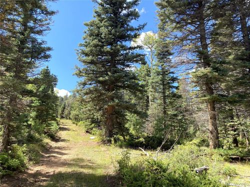 TBD L 27 Copper Mountain Road, Cotopaxi, CO, 81223 | Card Image