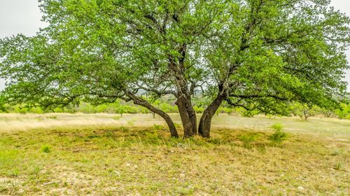 Lot 3 County Road 332, Blanket, TX, 76432 | Card Image