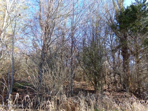 1037 Goti Dr, Crossville, TN, 38572 | Card Image