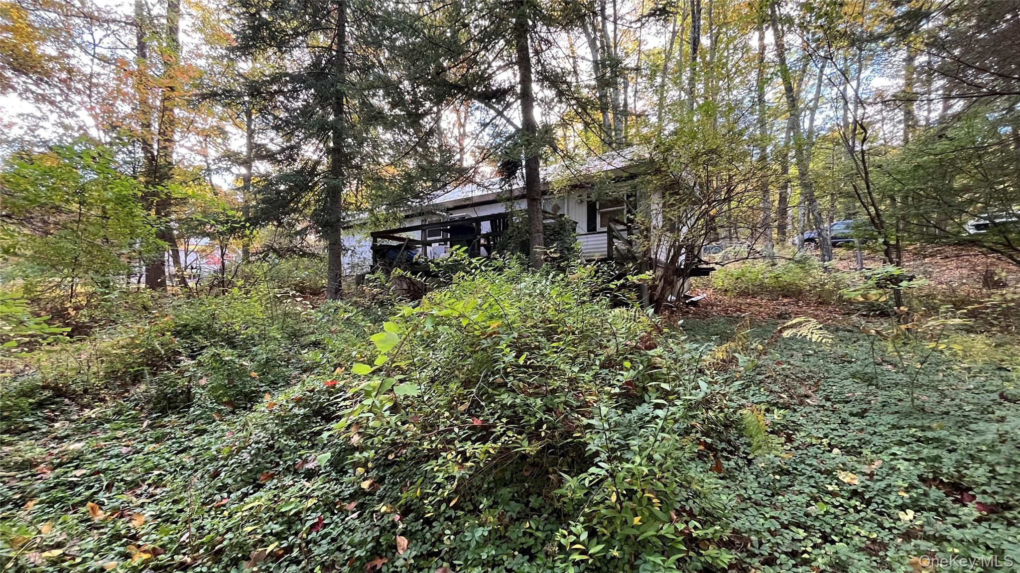 Residential in Esopus 2