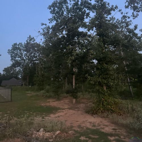 Lot 2 Tbd Private Road 1111, New Diana, TX, 75693 | Card Image