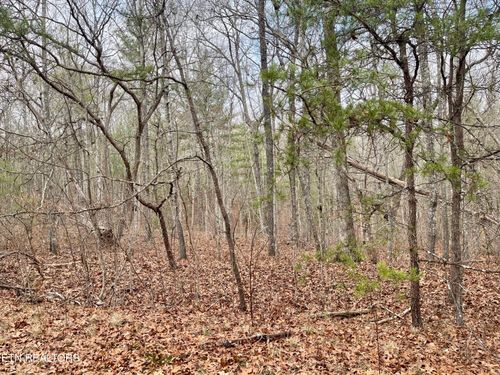 15 Glencove Ct, Crossville, TN, 38558 | Card Image