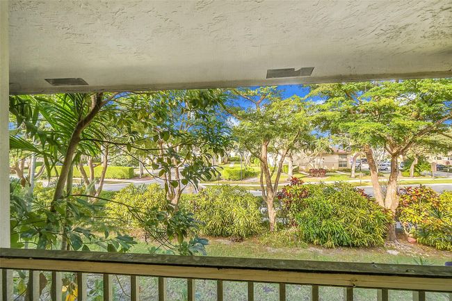 Lush Tropical landscape view | Image 7
