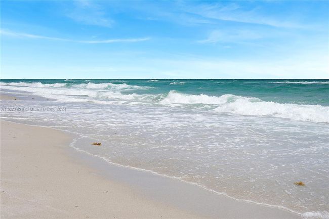 APT-3E - 5555 Collins Ave, Condo with 1 bedrooms, 2 bathrooms and null parking in Miami Beach FL | Image 35