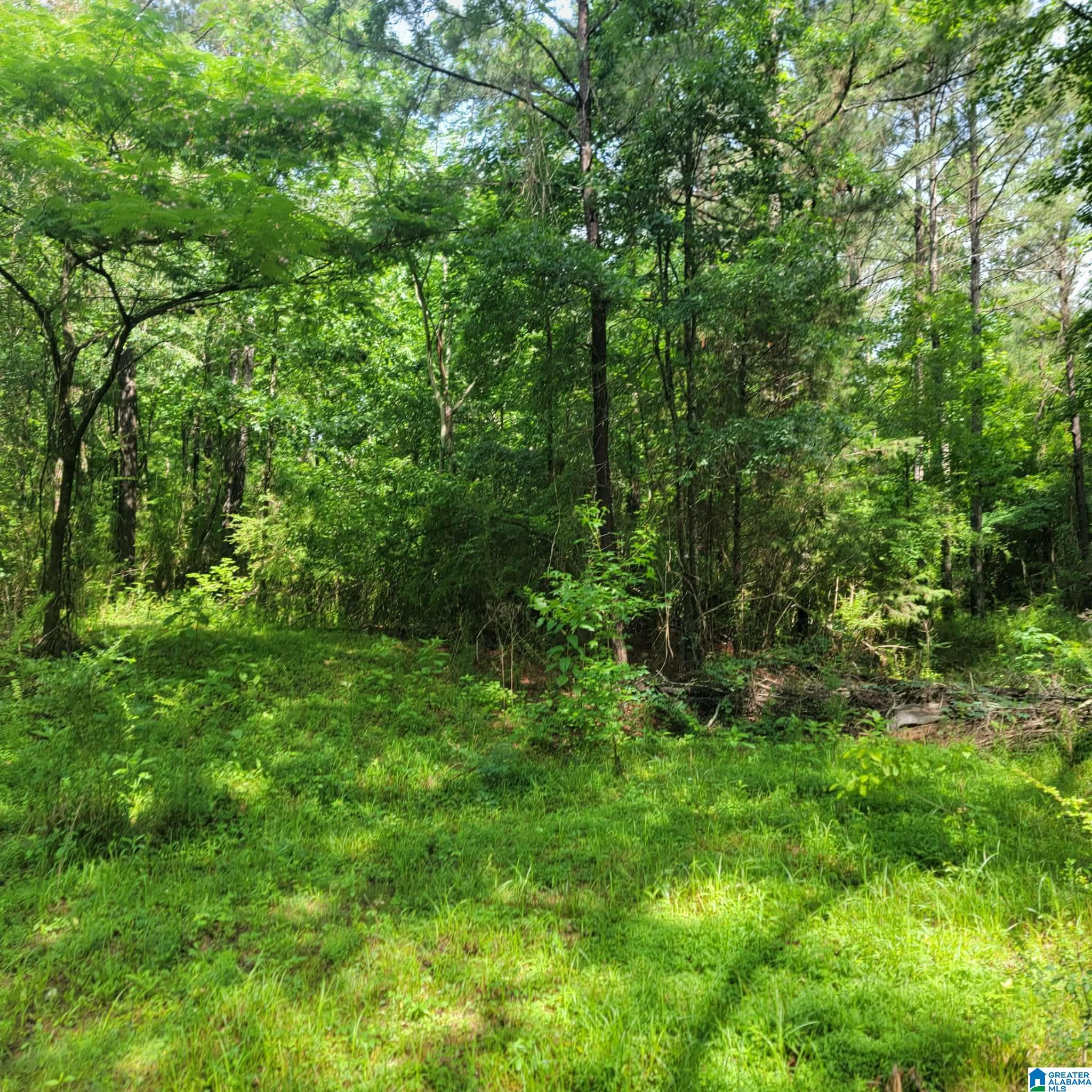 Land in COLUMBIANA 2