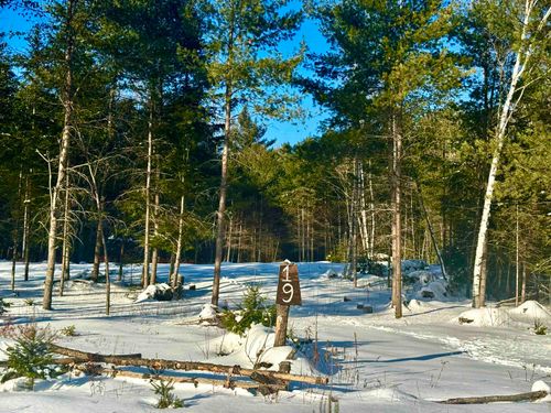 19 Lodge Ln, Woodsville, NH, 03785-4253 | Card Image