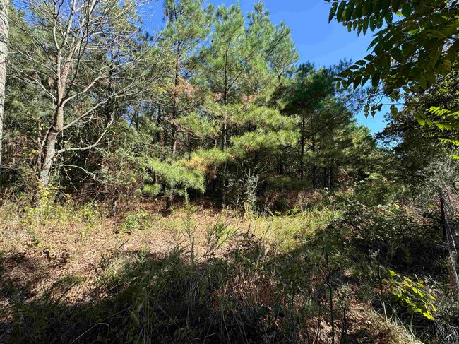00 Calico Rd, Home with 0 bedrooms, 0 bathrooms and null parking in Clinton AR | Image 27