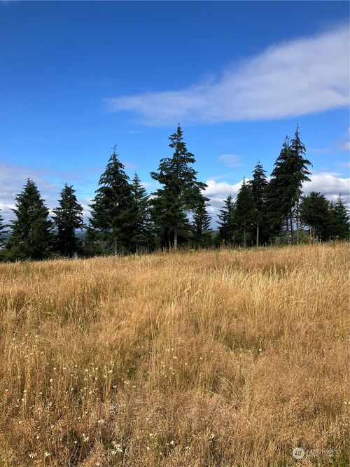 div-2-5 E Lone Fir Drive Drive E, Shelton, WA, 98584 | Card Image