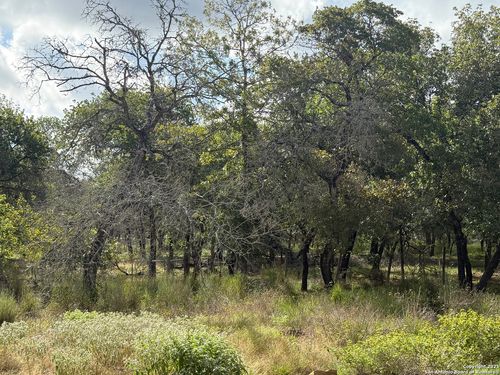 105 Clear Spgs, Floresville, TX, 78114-9704 | Card Image