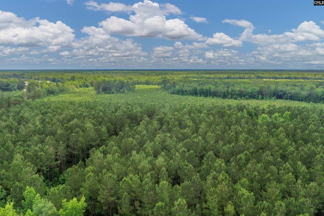 0000 N Brewington Rd, Home with 0 bedrooms, 0 bathrooms and null parking in Manning SC | Image 14
