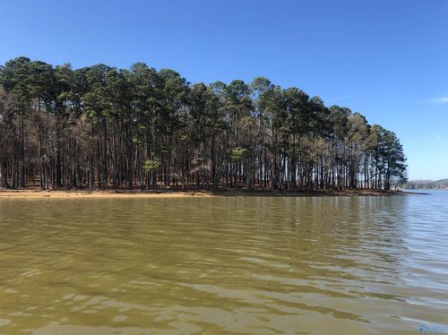 Lot 18 Little River Landing, Cedar Bluff, AL, 35959 | Card Image