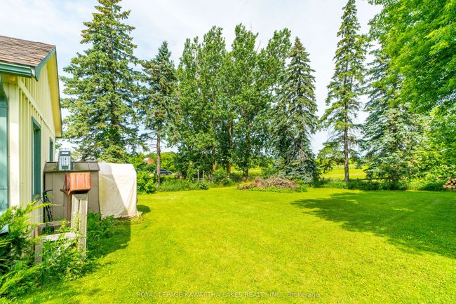 1167 Highway 7, House other with 3 bedrooms, 2 bathrooms and 3 parking in Oakwood ON | Image 25