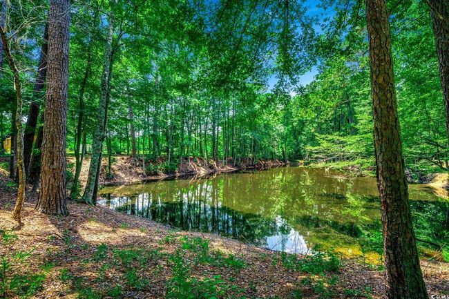 2340 Cane Branch Rd, House other with 3 bedrooms, 2 bathrooms and 6 parking in Loris SC | Image 30