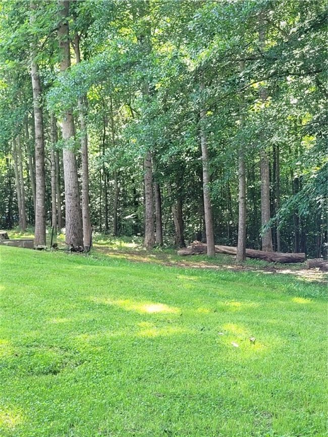 Rear lawn /parklike w/ woods | Image 6