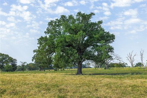 5 Rolke Ranch Road, Franklin, TX, 77856 | Card Image