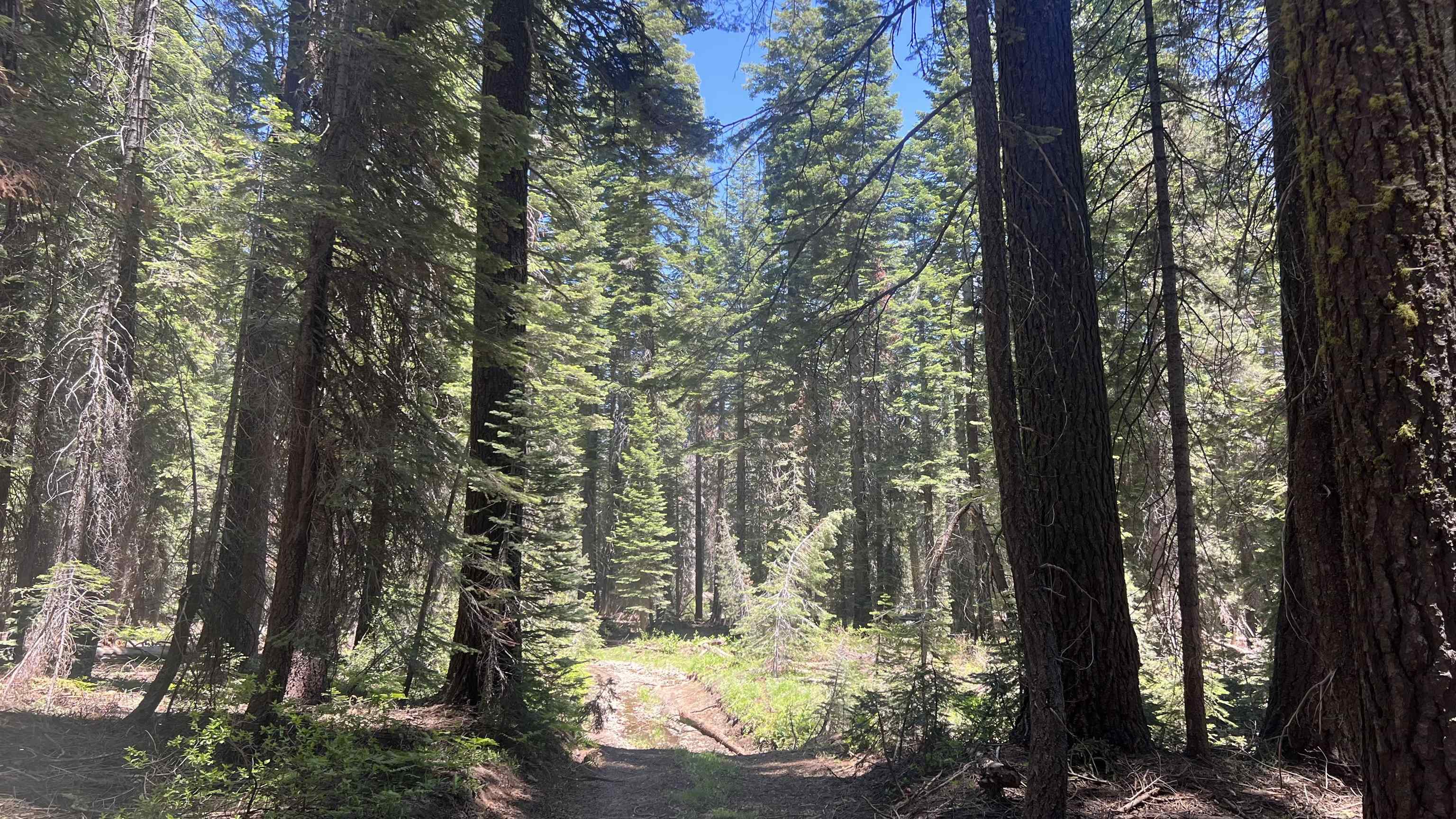 Land in Soda Springs 3