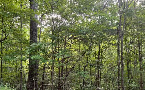 LOT 13 Preserve At Beach Mountain, Brasstown, NC, 28902 | Card Image