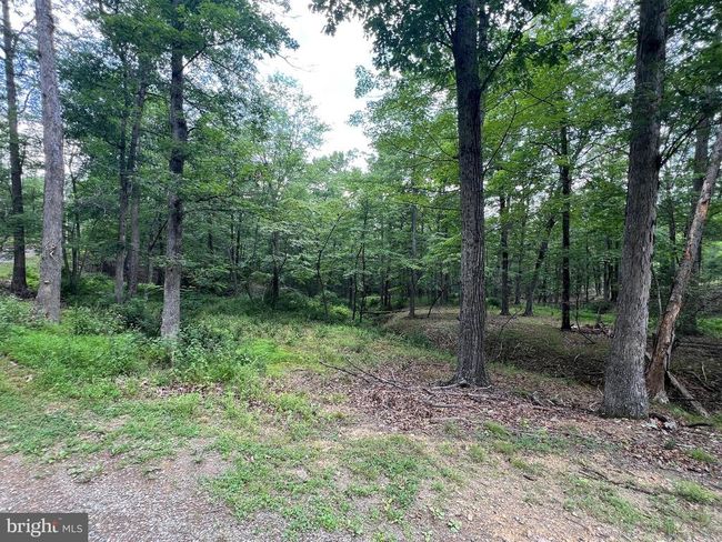 853 Janes Way, House other with 4 bedrooms, 2 bathrooms and null parking in HIGH VIEW WV | Image 30