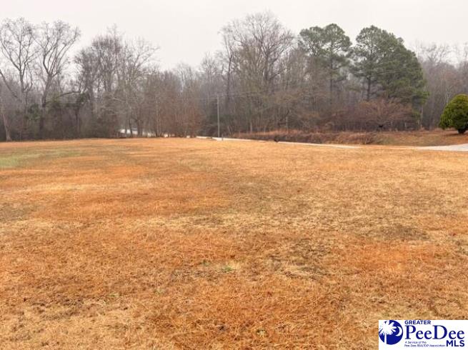 Land in Sumter