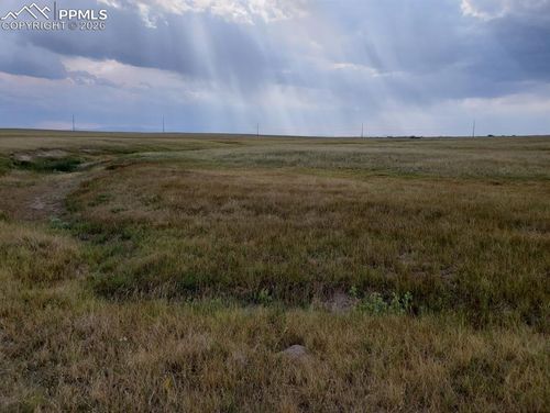 8155 Cowboy Ranch Vw, Falcon, CO, 80831-7365 | Card Image