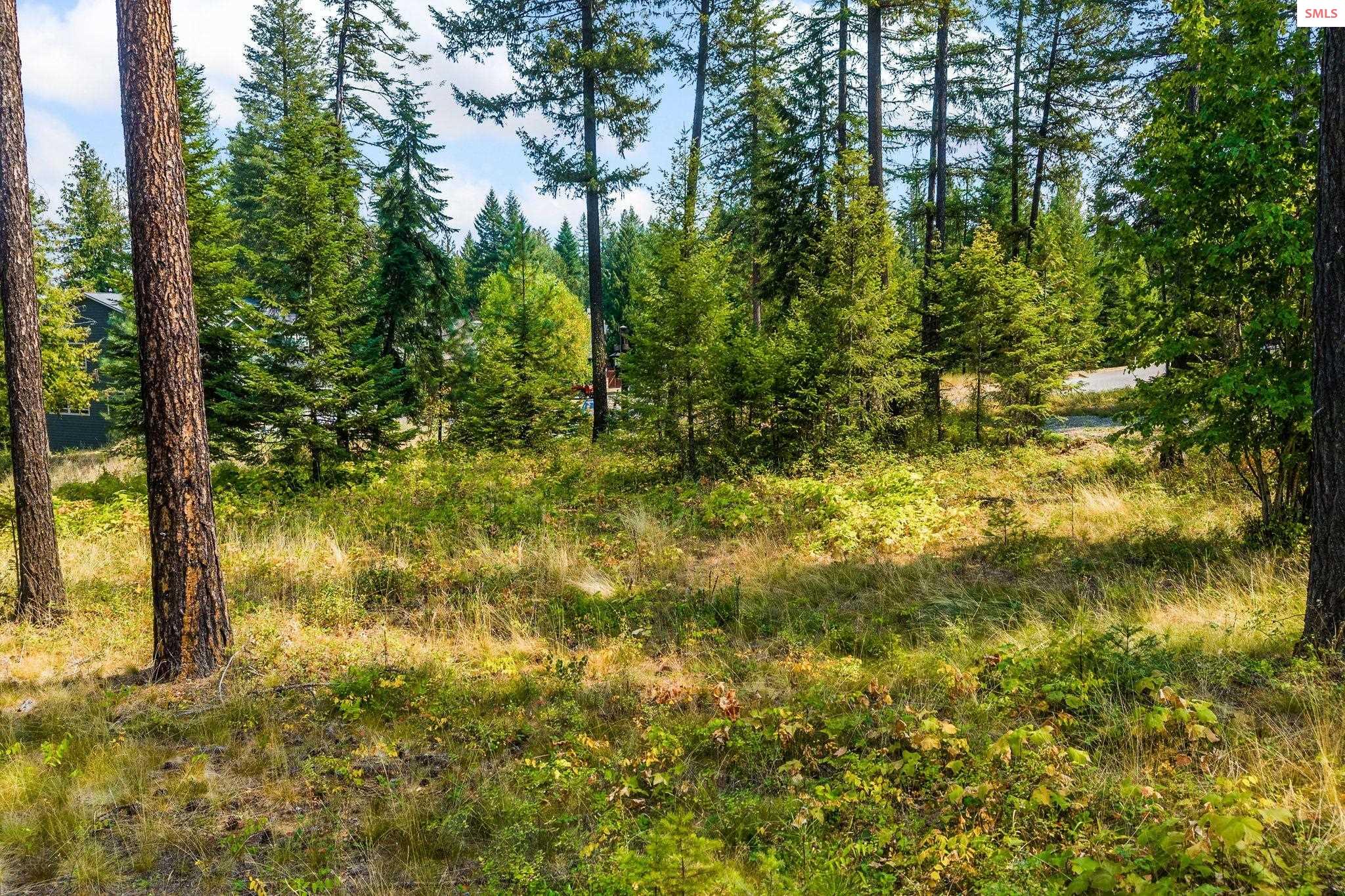 Land in Priest River 5