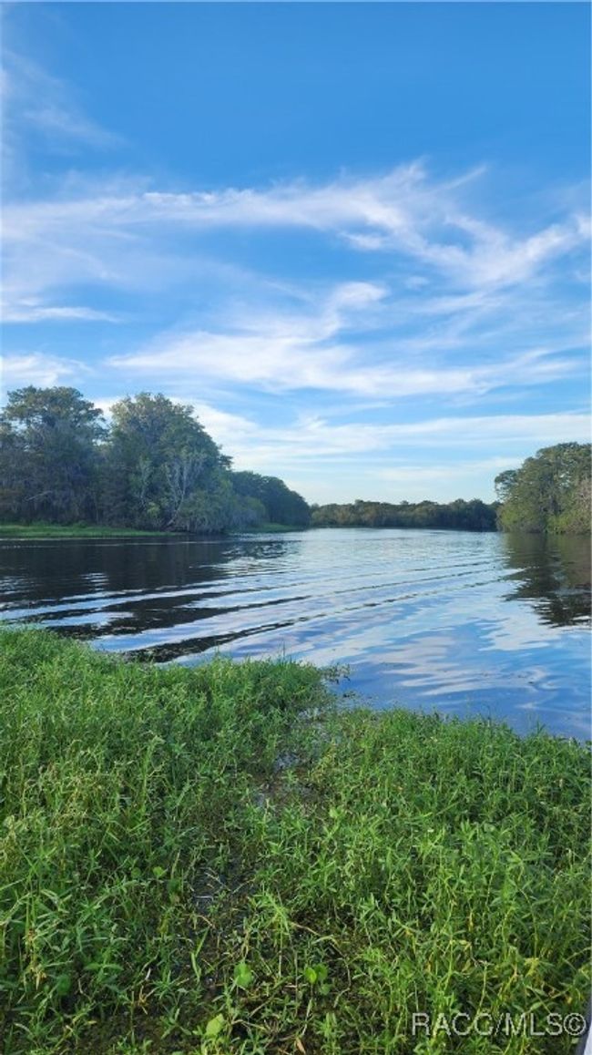 Withlacoochee River in Dunnellon, FL | Image 13