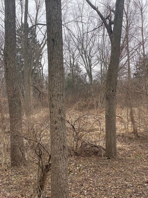 21177 N Valley Rd, Kildeer, IL, 60047-8580 | Card Image