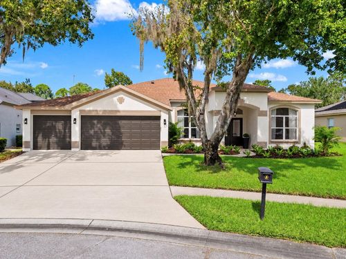 6111 Heroncrest Ct, LITHIA, FL, 33547-3878 | Card Image