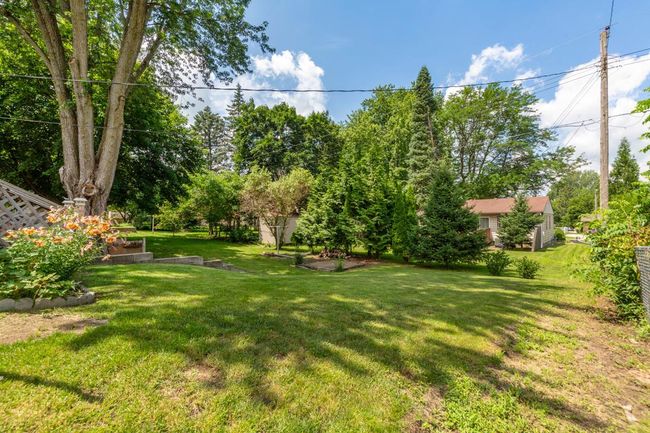 Backyard | Image 33