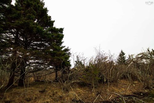 Lot 17 Quaco Rd, Port Maitland, NS, B5A | Card Image