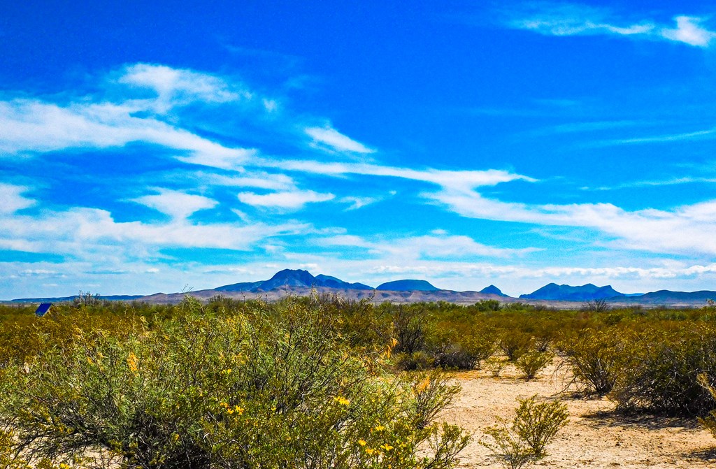 Land in Terlingua 5