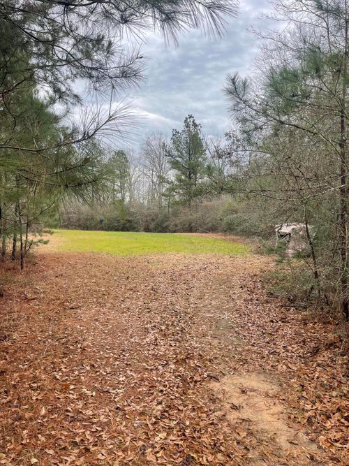 TBD Mt Carmel Rd, Prentiss, MS, 39474 | Card Image