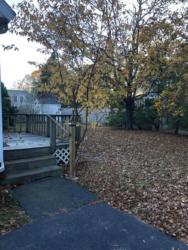 45 Acushnet Rd, House other with 4 bedrooms, 1 bathrooms and 4 parking in Mattapoisett MA | Image 11