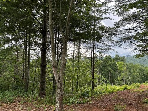 Tract 2 Pleasant Hill Trl, Ellijay, GA, 30540 | Card Image
