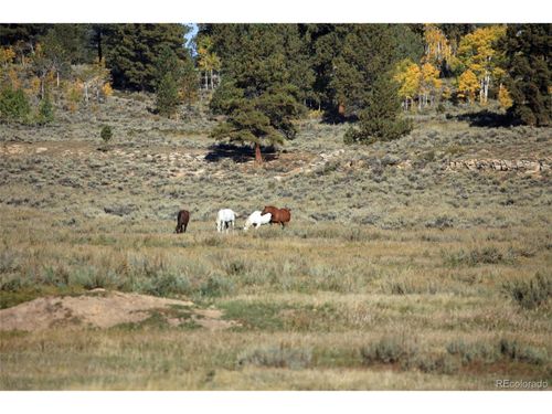 0 Divide Rd, Whitewater, CO, 81527 | Card Image