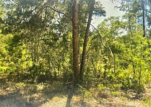 10 Dracaena Ct, Homosassa, FL, 34446-5910 | Card Image