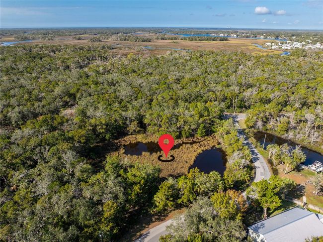 6170 S Westview Dr, Home with 0 bedrooms, 0 bathrooms and null parking in Homosassa FL | Image 7